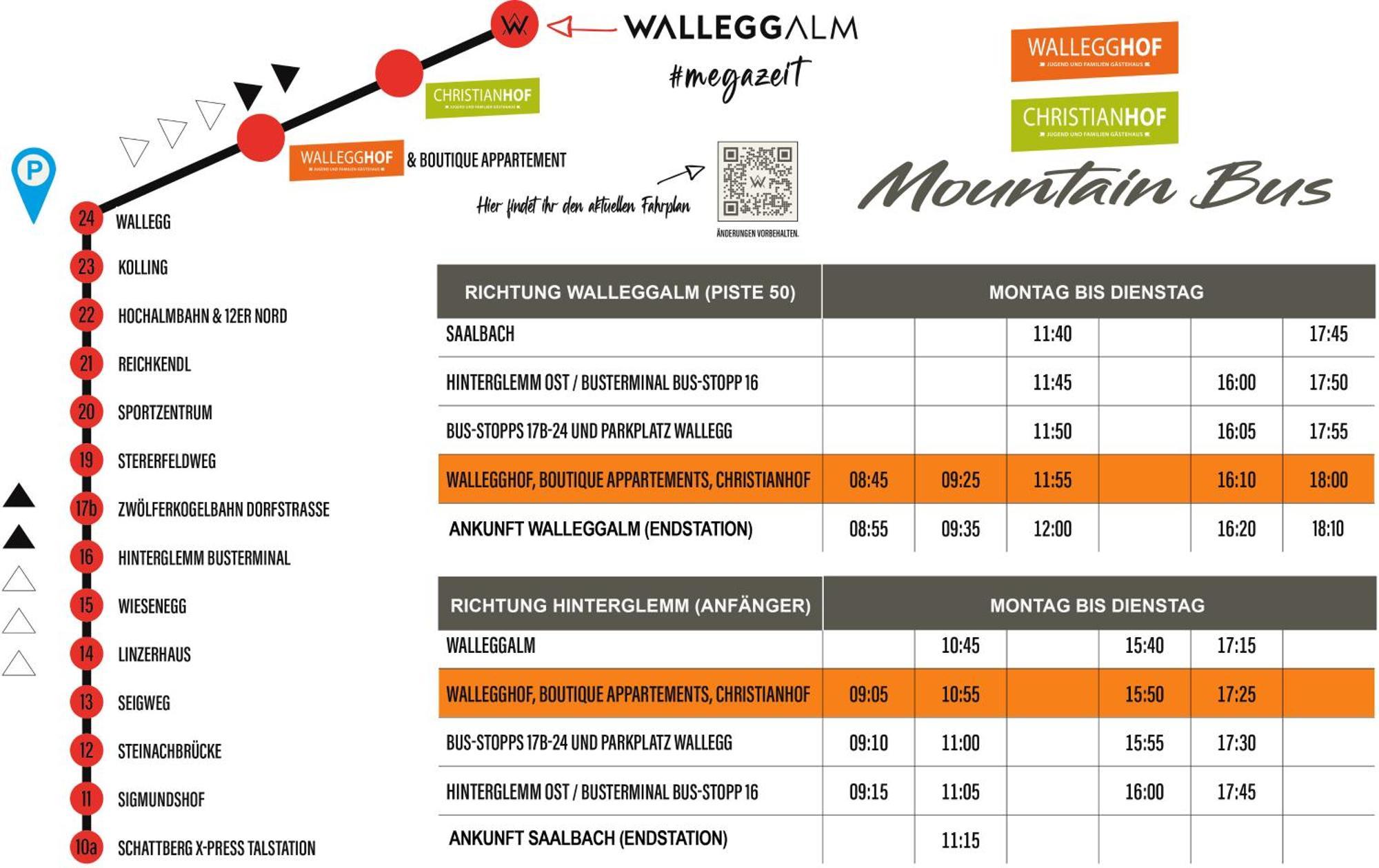 Ski In-Ski Out - Gaestehaeuser Saalbach-Hinterglemm - Wallegghof Christianhof Exterior photo