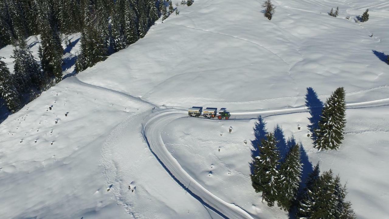 Ski In-Ski Out - Gaestehaeuser Saalbach-Hinterglemm - Wallegghof Christianhof Exterior photo